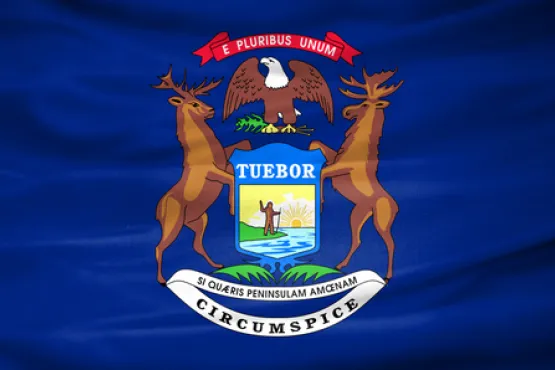 Michigan Flag