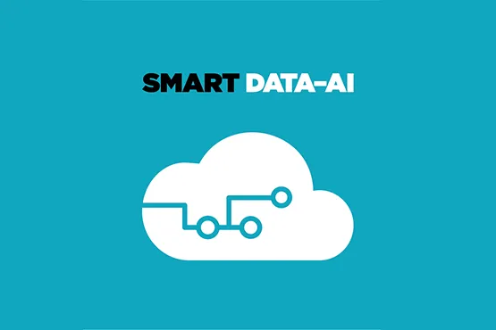 Smart Data-AI